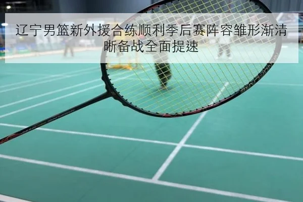辽宁男篮新外援合练顺利季后赛阵容雏形渐清晰备战全面提速